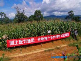 玉溪：以智慧農(nóng)業(yè)小鎮(zhèn)為依托，發(fā)展“互聯(lián)網(wǎng)+農(nóng)業(yè)”，打入國際高端化市場