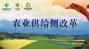 中農(nóng)批冷鏈攜手莊河打造農(nóng)業(yè)供給側(cè)改革示范縣