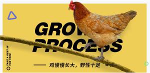 京東這家互聯(lián)網(wǎng)公司，想要怎樣去改變農(nóng)業(yè)？