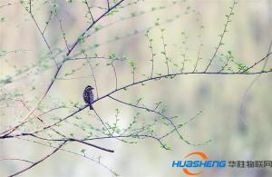 互聯網人這么讀2018中央一號文件
