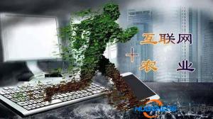以“互聯(lián)網(wǎng)+”農(nóng)業(yè)推進(jìn)鄉(xiāng)村振興