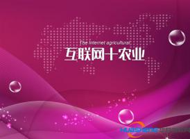 互聯(lián)網(wǎng)+農(nóng)業(yè)創(chuàng)業(yè)，應(yīng)該這樣玩兒