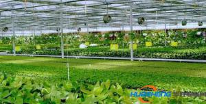 福建2017年省級農(nóng)業(yè)物聯(lián)網(wǎng)示范點名單，有你家鄉(xiāng)的嗎？