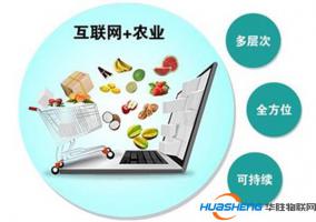 “互聯(lián)網(wǎng)+三農(nóng)”讓農(nóng)村更像農(nóng)村 幫村民走上現(xiàn)代農(nóng)業(yè)創(chuàng)業(yè)道路