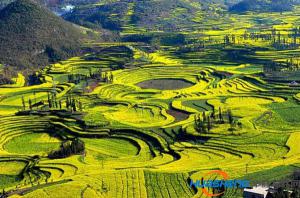 智慧農(nóng)業(yè) 農(nóng)業(yè)物聯(lián)網(wǎng) 農(nóng)業(yè)信息化 現(xiàn)代農(nóng)業(yè)
