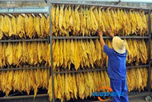 四川農業(yè)2020年信息技術應用比將將超20%