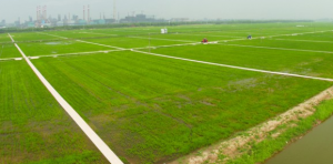 武漢第三次農(nóng)業(yè)普查將建“三農(nóng)”可視化展示系統(tǒng)