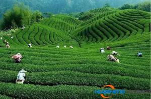 農(nóng)業(yè)互聯(lián)網(wǎng)創(chuàng)業(yè)的那些希望與失望