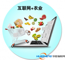 “互聯(lián)網(wǎng)+”讓浙江農(nóng)業(yè)呈現(xiàn)別樣面貌