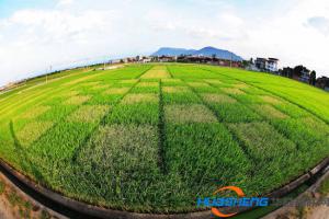 阿根廷農(nóng)業(yè) ：智慧提升能力 種地報(bào)效祖國