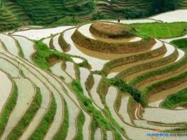 山區(qū)農(nóng)業(yè)大智慧 機(jī)器上山顯神通