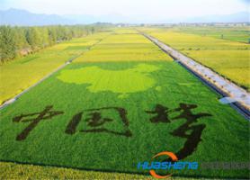 互聯(lián)網(wǎng)+農(nóng)業(yè)主要流派發(fā)展方向分析