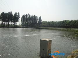 物聯(lián)網(wǎng)養(yǎng)魚，小水面有了大產(chǎn)出