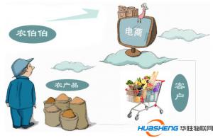 “互聯(lián)網(wǎng)+農(nóng)業(yè)”不只是發(fā)展農(nóng)村電商