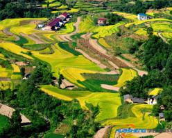 革命老區(qū)新革命：“互聯(lián)網(wǎng)＋”拓寬農(nóng)民致富路