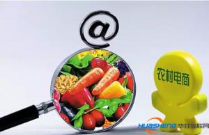 蘇寧簽約農(nóng)業(yè)部 力推“農(nóng)業(yè)互聯(lián)網(wǎng) + ”
