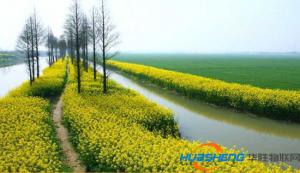 農(nóng)業(yè)綜合開(kāi)發(fā)奏響現(xiàn)代農(nóng)業(yè)希望之歌