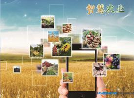 呼圖壁縣“智慧農(nóng)業(yè)”讓農(nóng)民華麗轉(zhuǎn)身