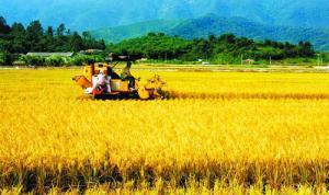 水肥一體化　農(nóng)業(yè)現(xiàn)代化必經(jīng)之路