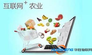 互聯(lián)網(wǎng)＋農(nóng)業(yè)方案出臺 涉農(nóng)電商迎機(jī)遇