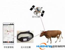 日暮牛羊自可歸，北斗導航助力遠程放牧