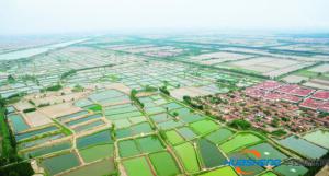 淄博智慧農(nóng)業(yè)將建成數(shù)據(jù)平臺(tái) 通過電視下單