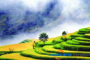 方寸之間的農(nóng)業(yè)大智慧