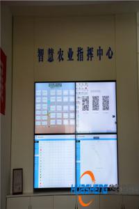 廣西鐘山縣引進(jìn)首個(gè)智慧農(nóng)業(yè)管理系統(tǒng)