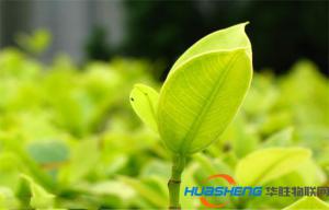 農(nóng)業(yè)物聯(lián)網(wǎng)：讓植物擁有一顆智慧的心
