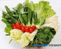 “互聯(lián)網(wǎng)+”讓農(nóng)產(chǎn)品更安全
